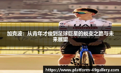 49图库官网首页